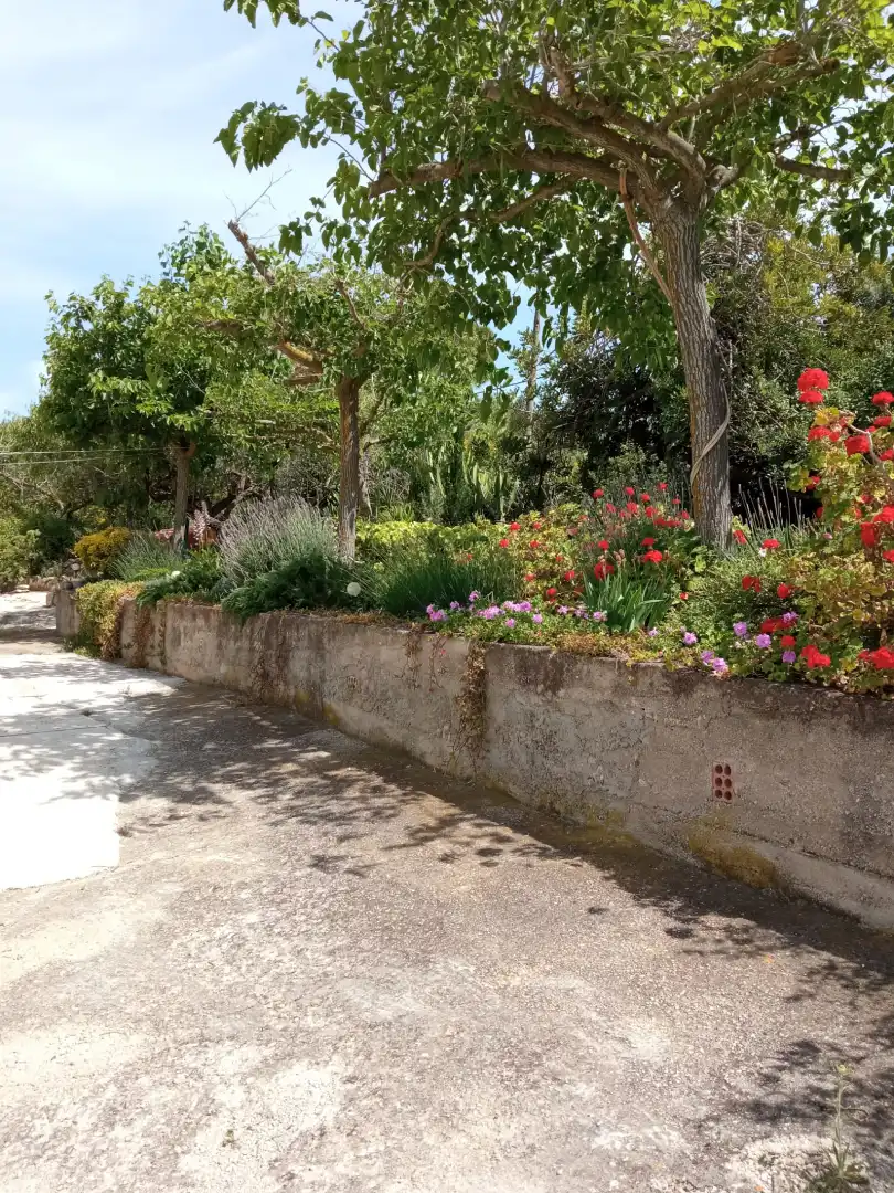 Jardí de Finca rústica en venda en Tortosa amb Aire condicionat, Calefacció i Jardí privat