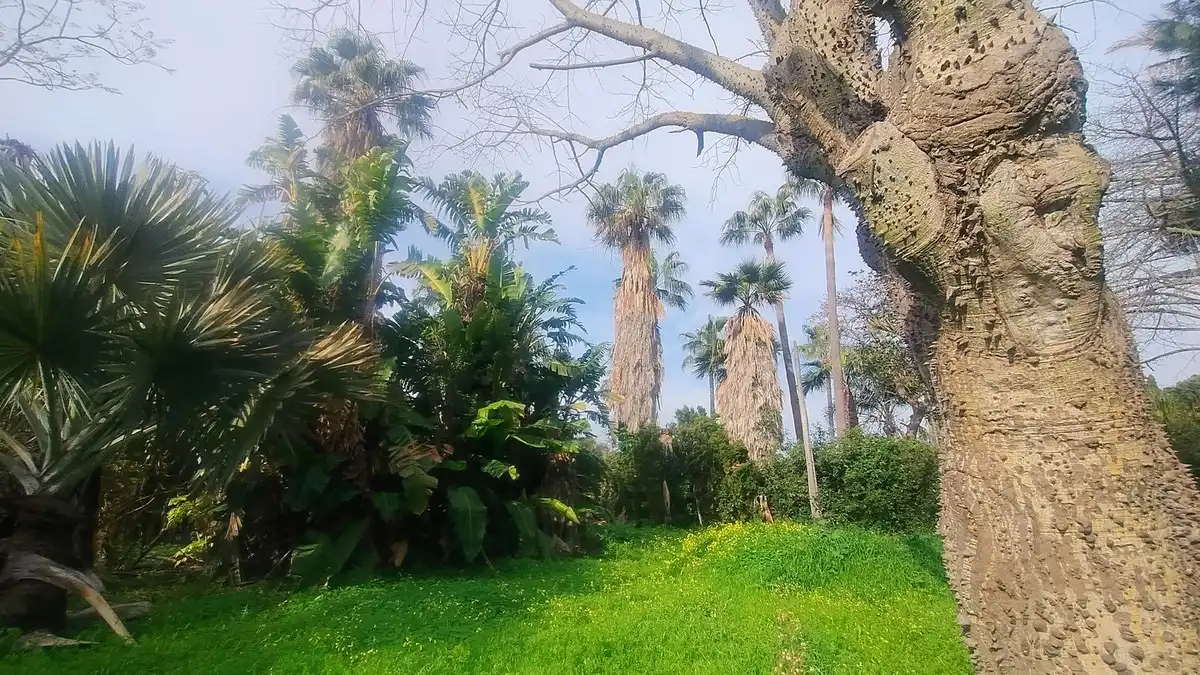 Terreni e lotti in vendita a Marbella - Marbella,Chapas,Calle Pinsapo, imagen 34