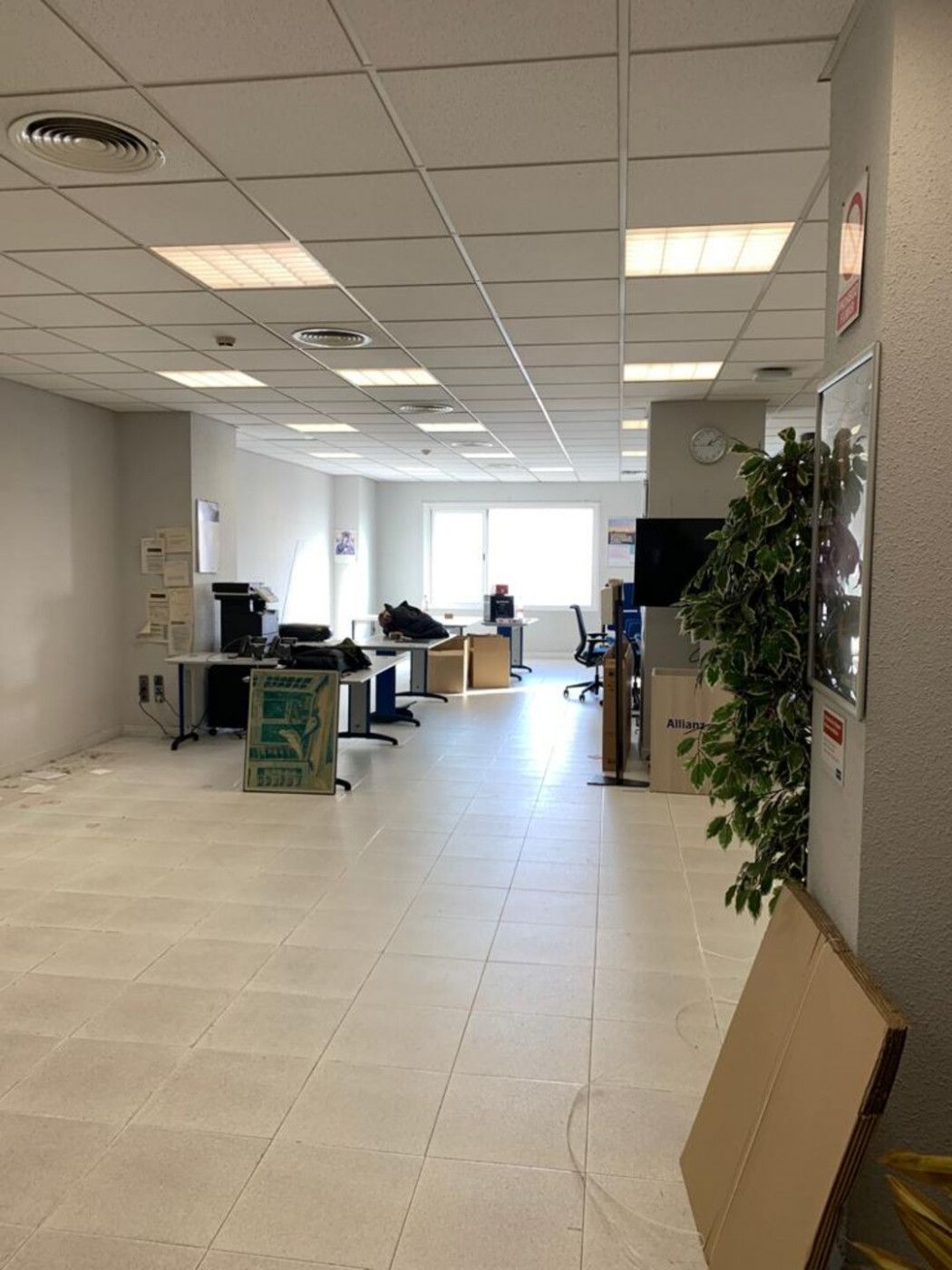 Oficina de lloguer en Algeciras