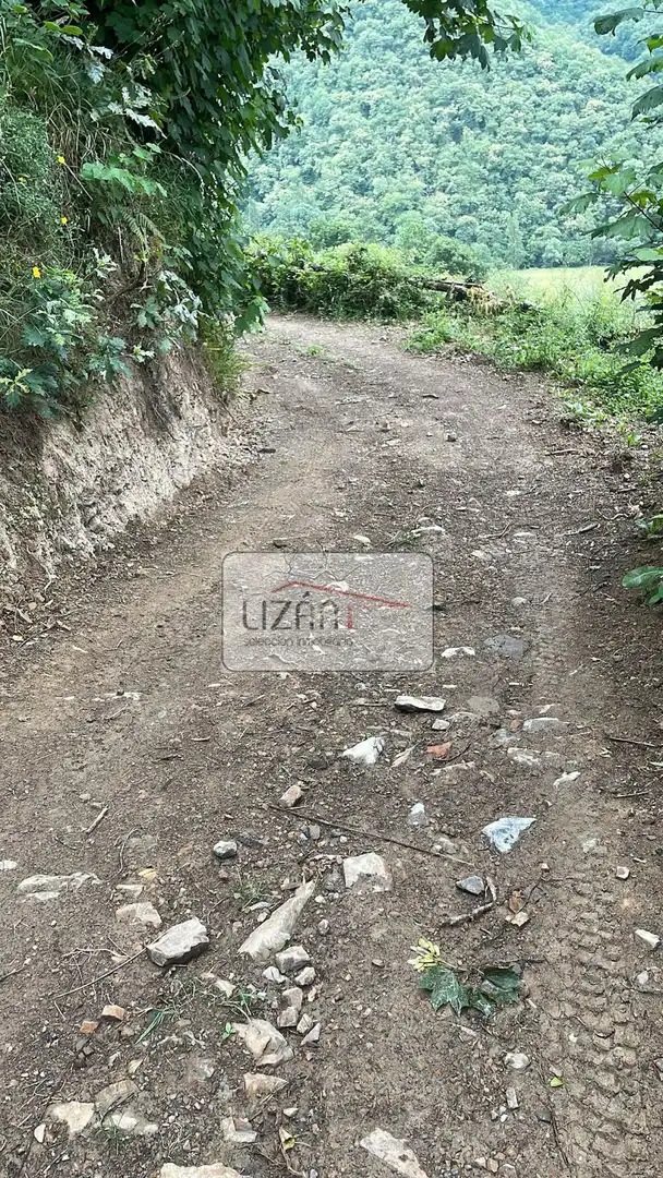 Lands and plots for sale in Aller - P.Valle s/n, imagen 11