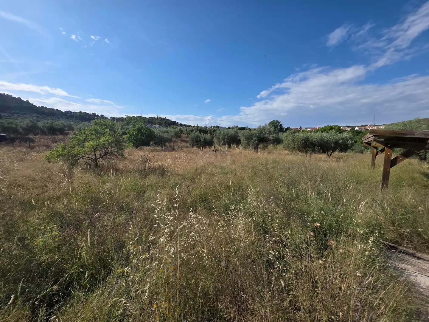 Terreno en venta en Socovos