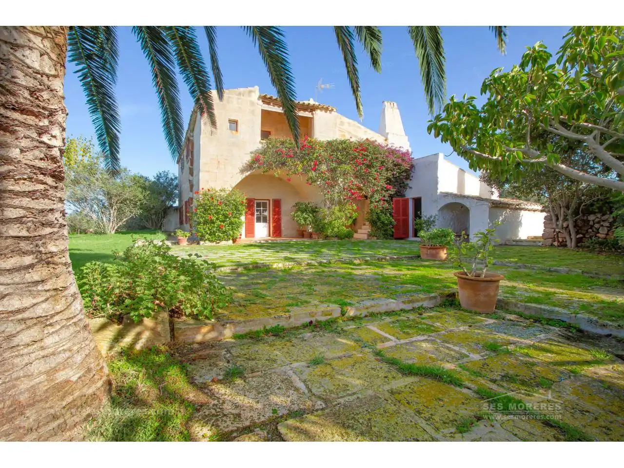 Rural land for sale in Cala Blanca, imagen 18