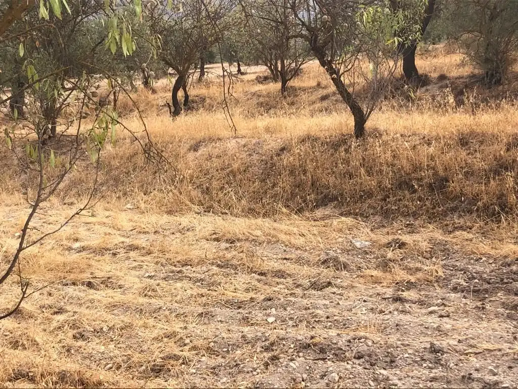Rural land for sale in Dúrcal, imagen 2