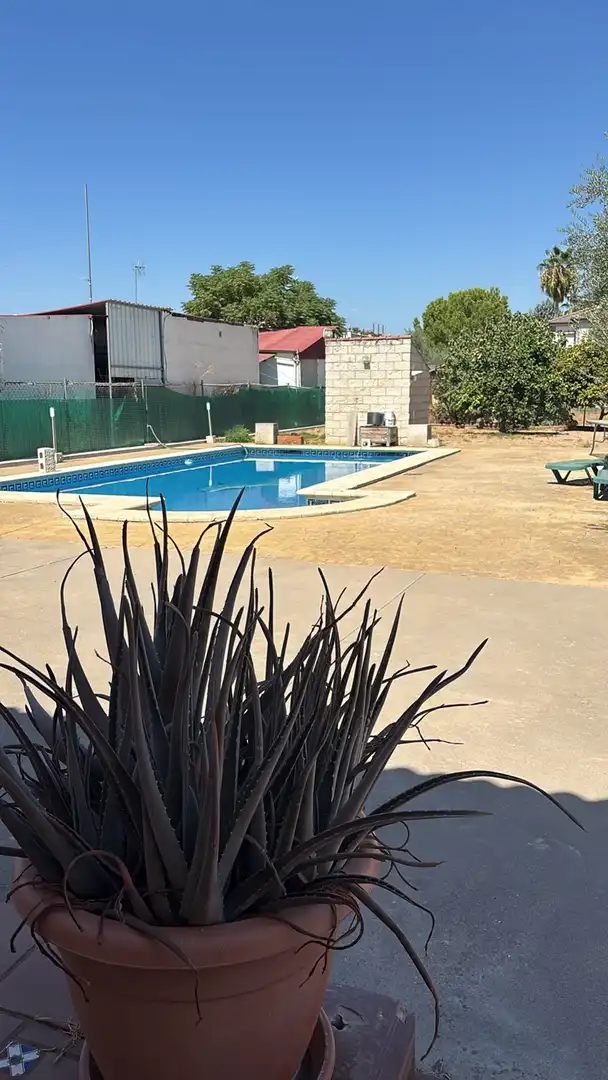 Terrenos y solares en venta en calle orquidia, imagen 2