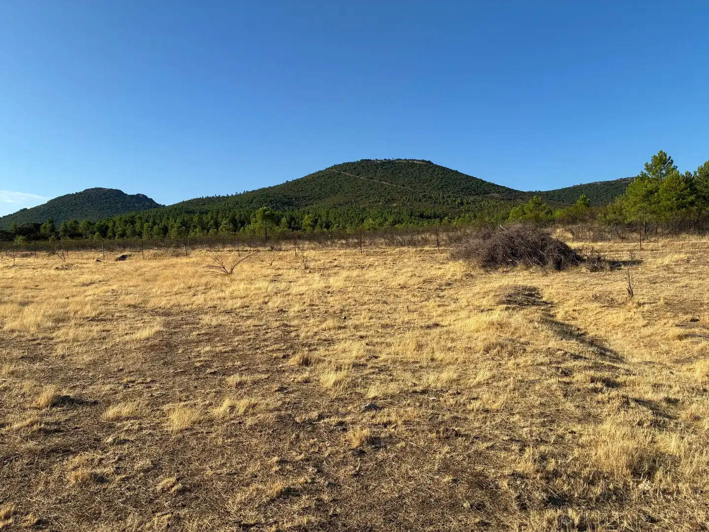 Rural land for sale in Puerto de San Vicente, imagen 11
