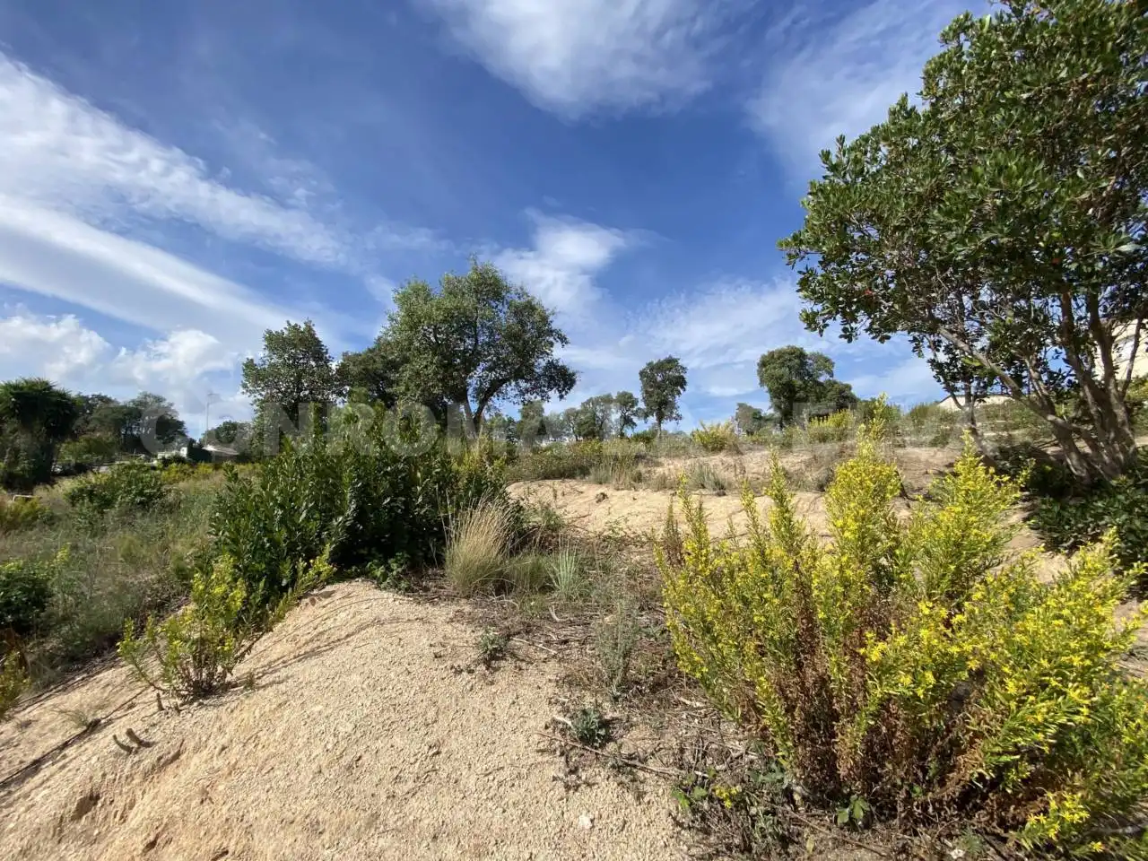 Rural land for sale in Riudarenes, imagen 6