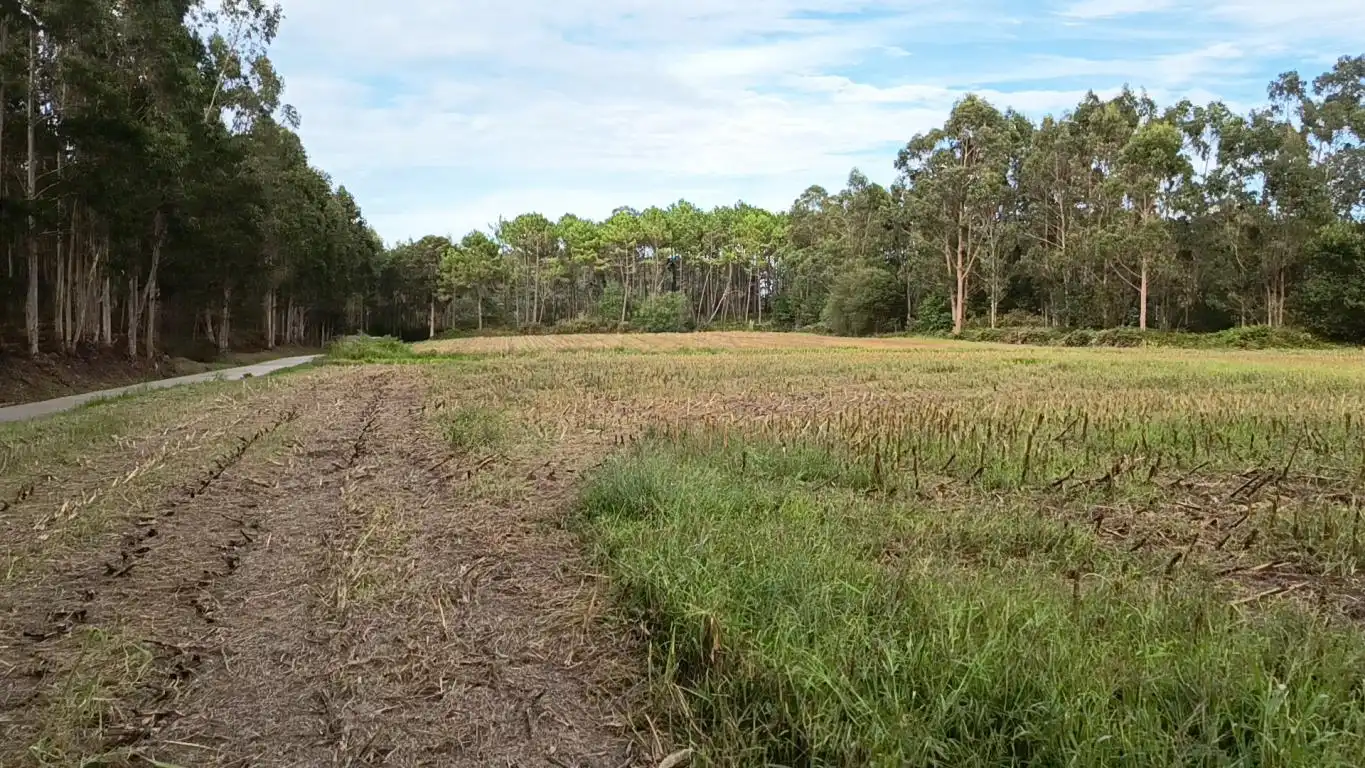 Terreno rústico en venta en Aldea Cabañas, imagen 19