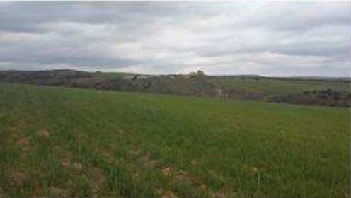 Terreno en Venta en Calle Fragua en Espinosa de Henares - pueblo