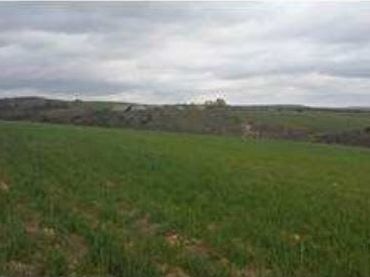 Rural land for sale in Calle Fragua