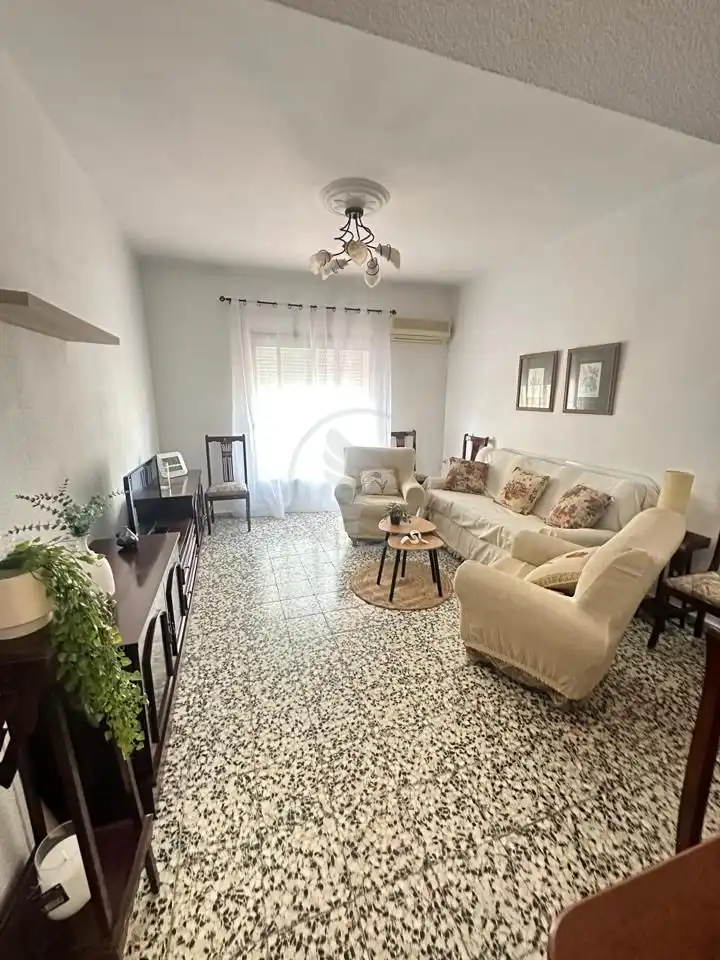 Living room of Flat for rent in Linares  with Air Conditioner, Terrace and Furnished