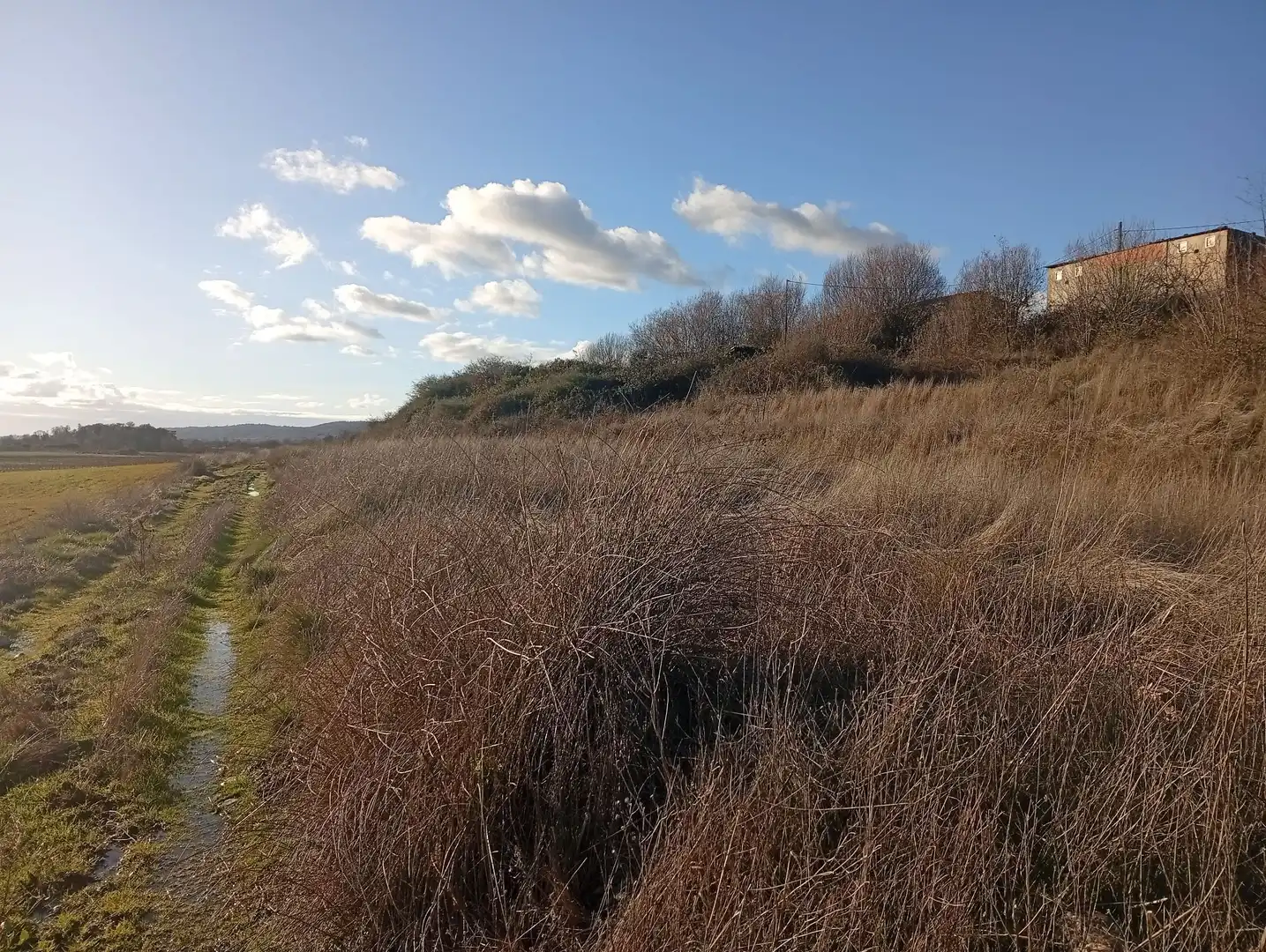 Land for sale in Losar de la Vera