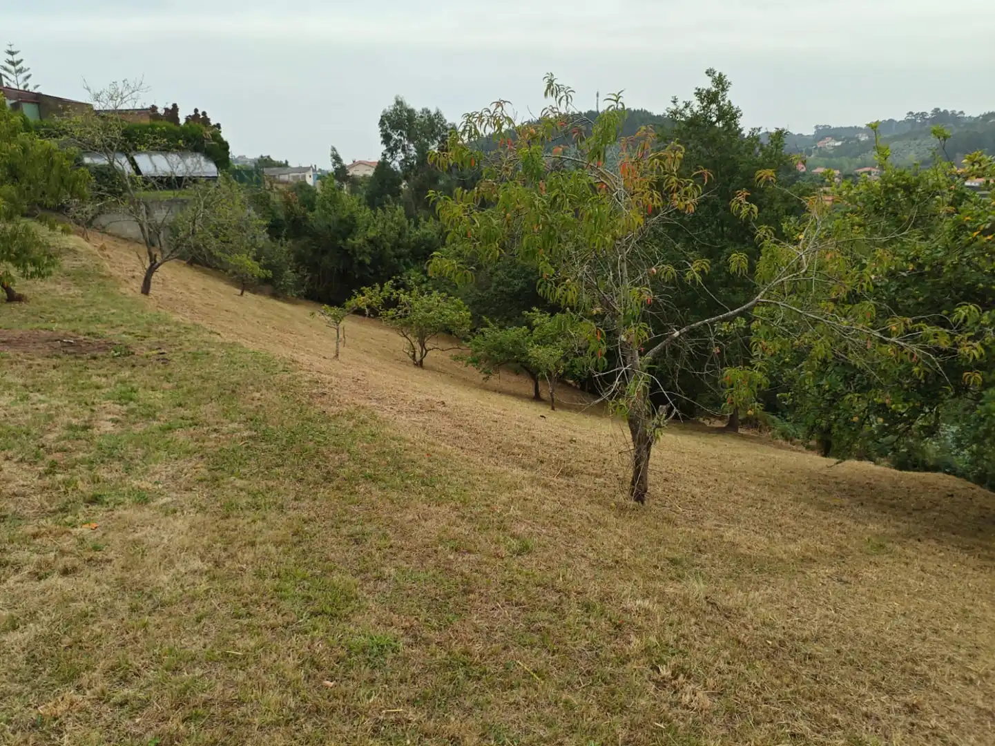Houses for sale in Castrillón