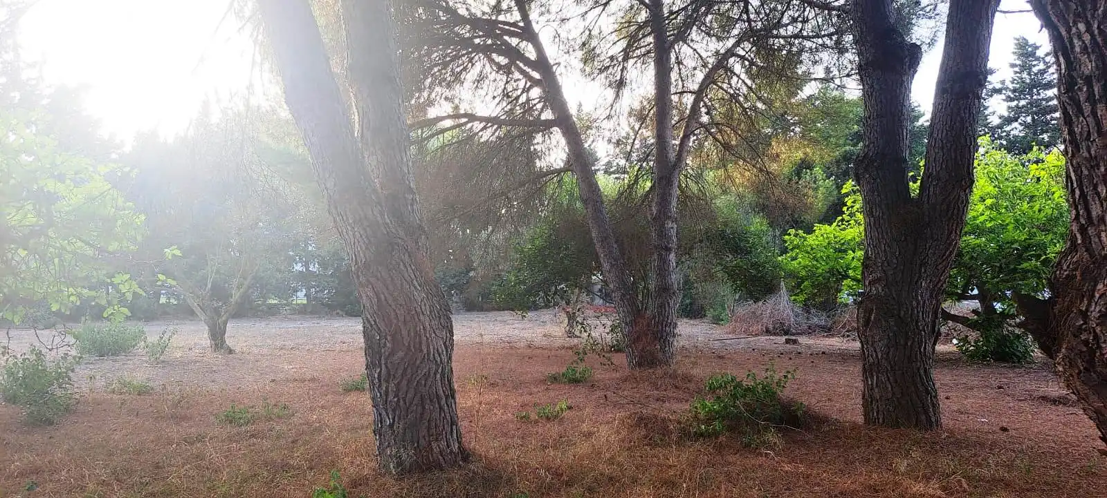 Houses for sale in Chiclana de la Frontera  with Private garden, Terrace and Furnished
