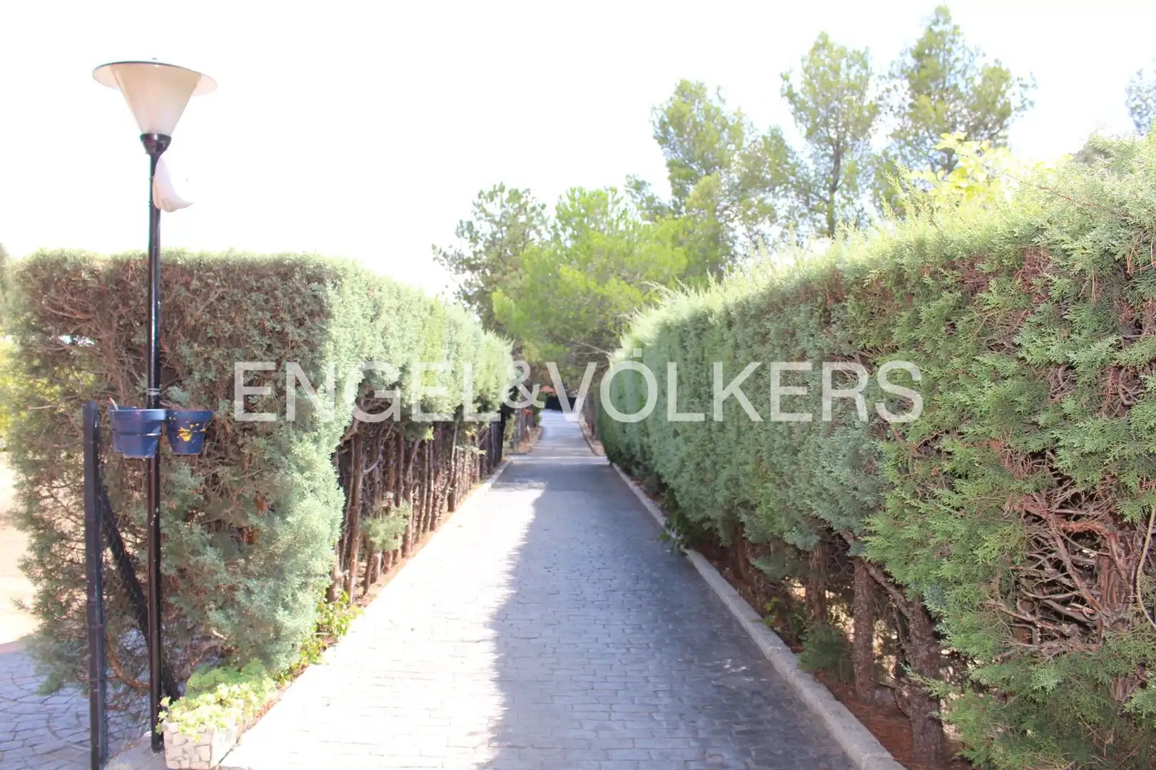 Vista exterior de Casa o chalet en venta en Cabanillas de la Sierra con Calefacción, Jardín privado y Piscina