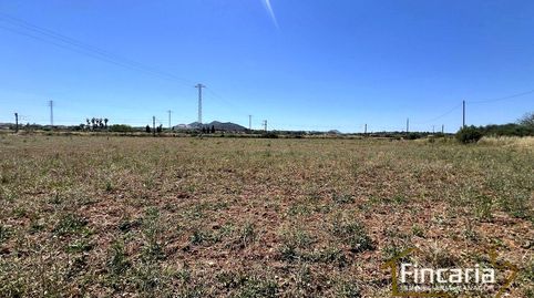 Foto 5 de Finca rústica en venda a De S'estació, Manacor Centre, Manacor
