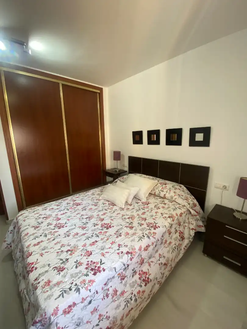 Bedroom of Apartments for rent in Málaga  with Air Conditioner, Terrace and Furnished