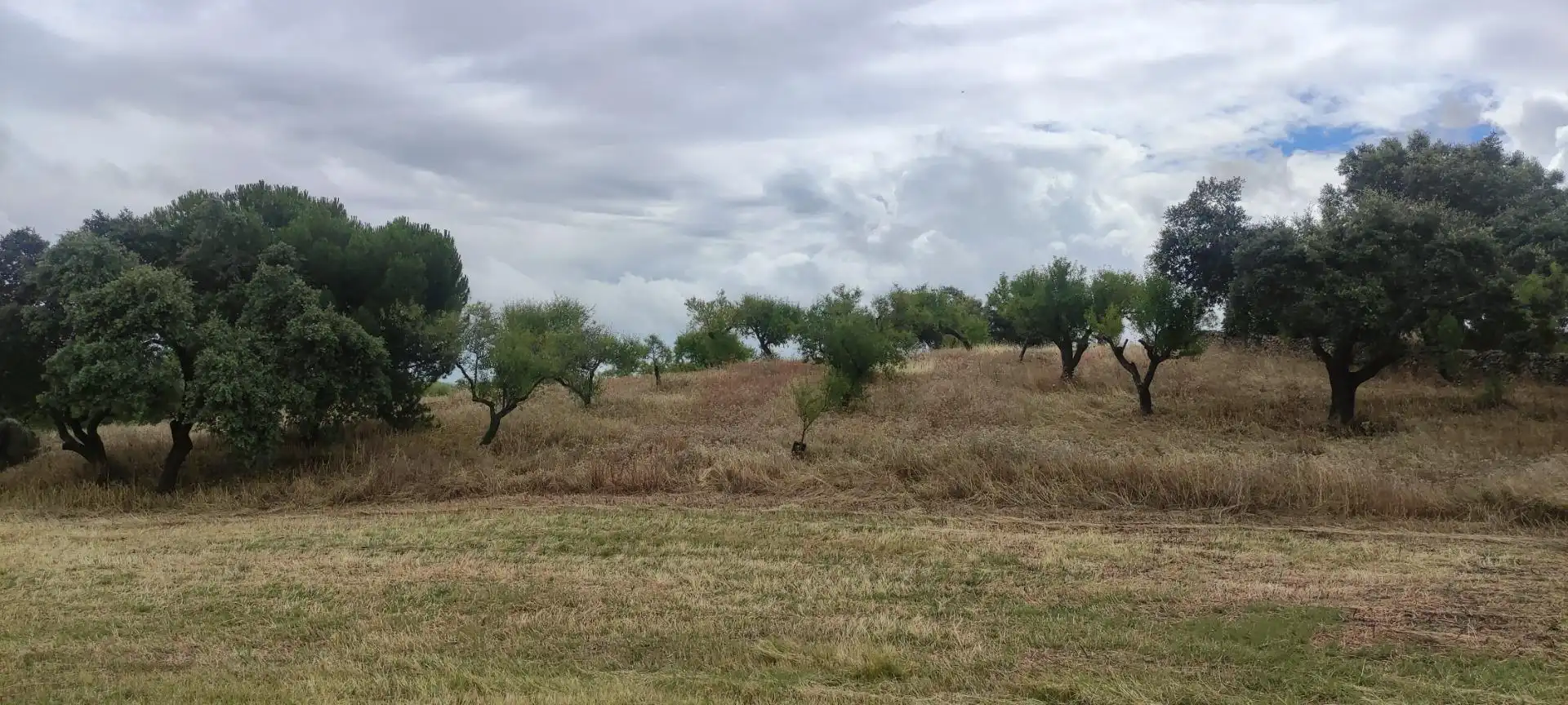 Terreni e lotti in vendita a Garrovillas de Alconétar, imagen 8