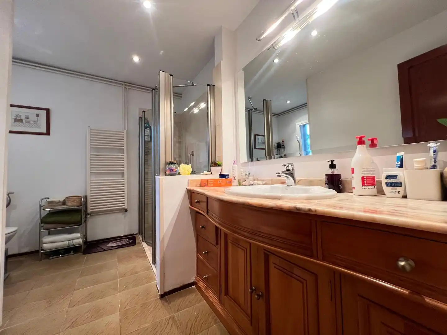 Baño de Finca rústica en venta en Inca con Aire acondicionado y Jardín privado