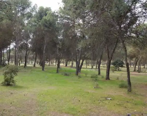 Terreni e lotti in vendita a LOS LLANOS DE SILVA, imagen 5