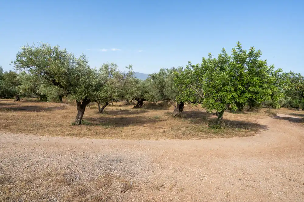 Finca rústica en venta en Aldover con Jardín privado, Terraza y Amueblado