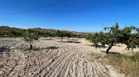Foto 5 de Finca rústica en venda a Los Puertos, Murcia