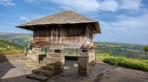 Foto 2 de Finca rústica en venda a Grandas de Salime, Asturias
