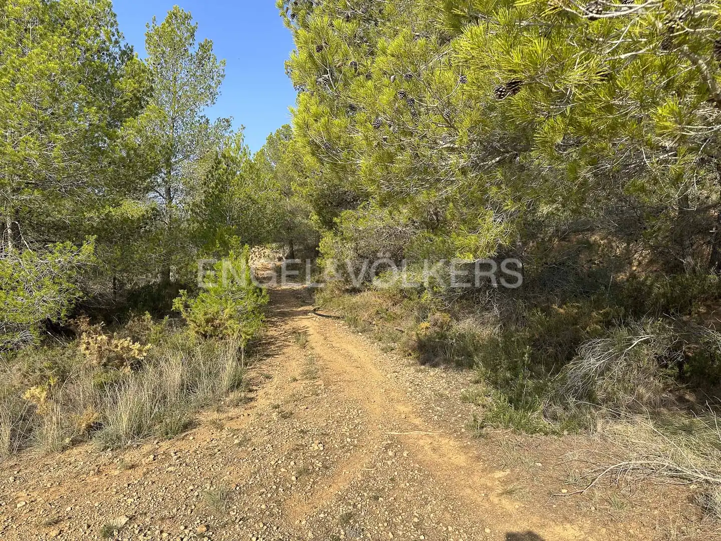 Residential land for sale in Torrelles de Foix, imagen 9