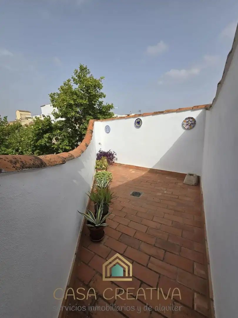 Estudio de alquiler en Plaza Sant Jaume, Xàtiva