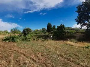 Terreni e lotti in vendita a Jarandilla de la Vera, imagen 2