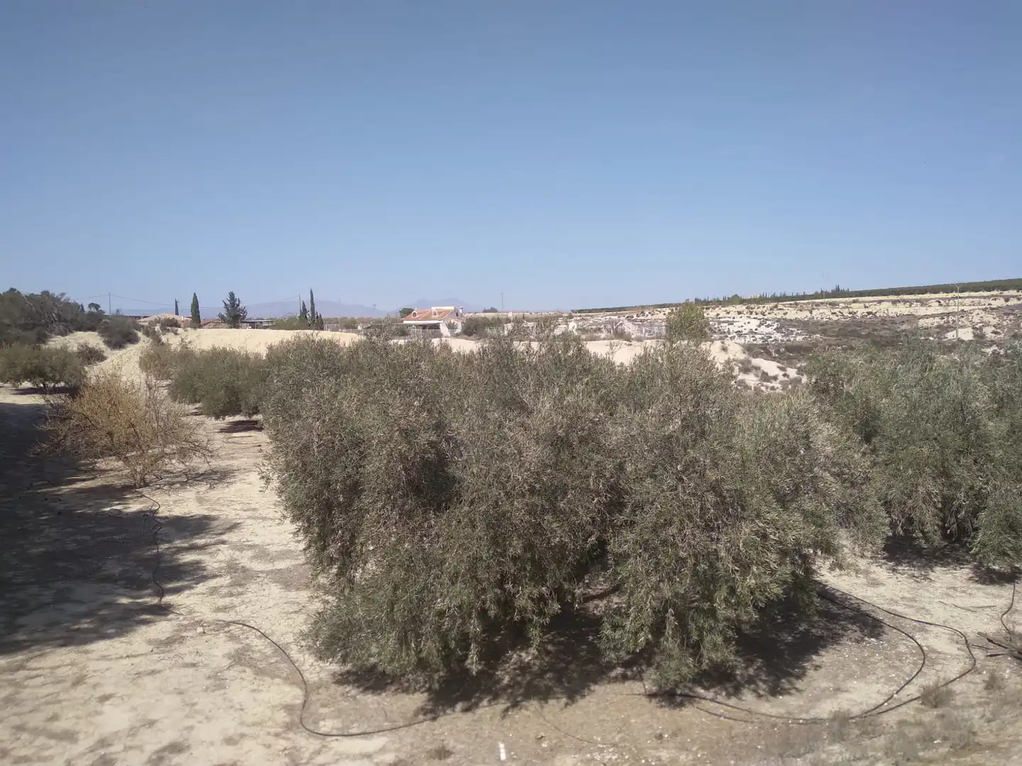 Terreni e lotti in vendita a Campos del Río, imagen 13