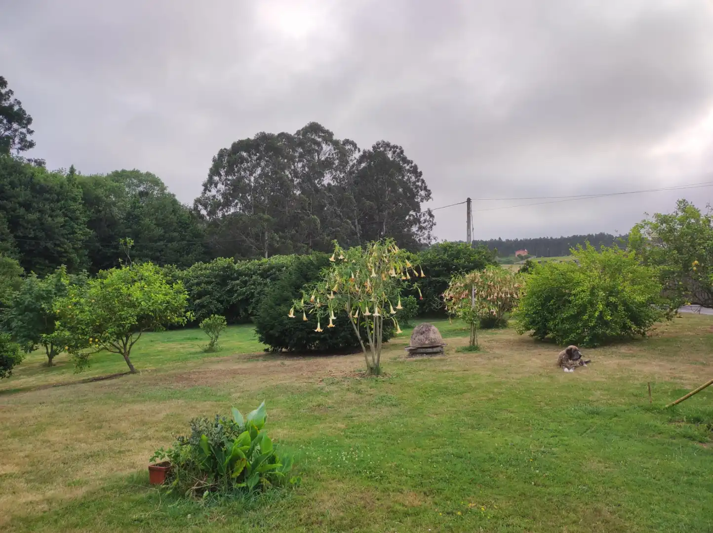 Chalet con jardín en venta en Carretera de la Granda, imagen 58