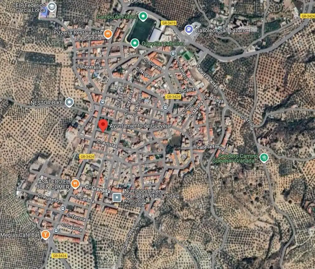 Vista exterior de Casa adosada en venta en Güevéjar