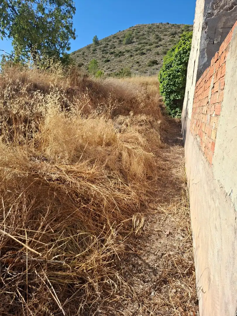 Jardí de Casa o xalet en venda en Algueña