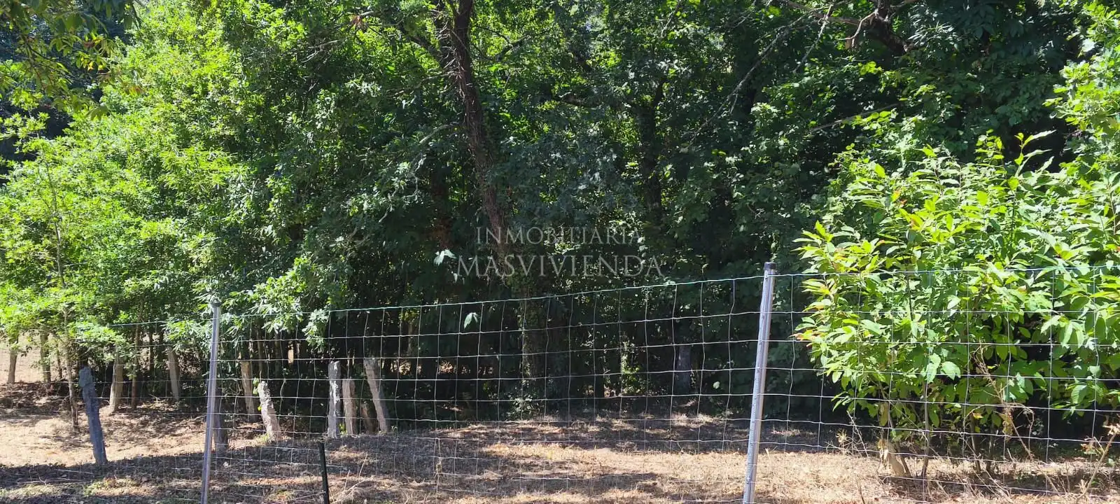 Casa amb jardí en venda a Entenza, imagen 36