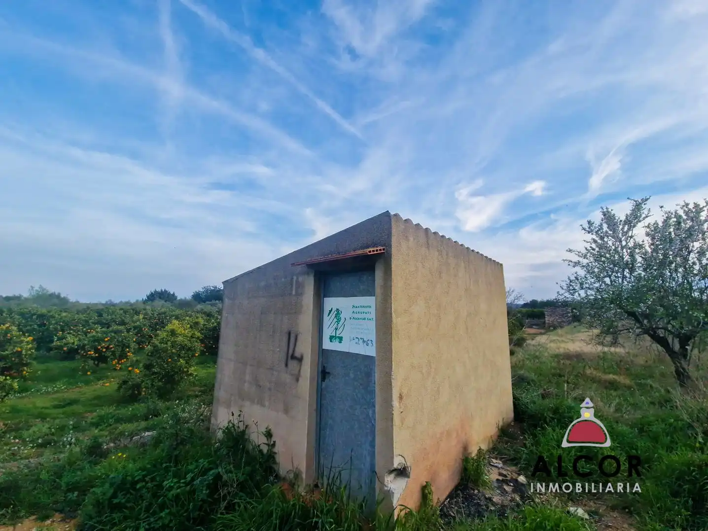 Vista exterior de Finca rústica en venda en Càlig