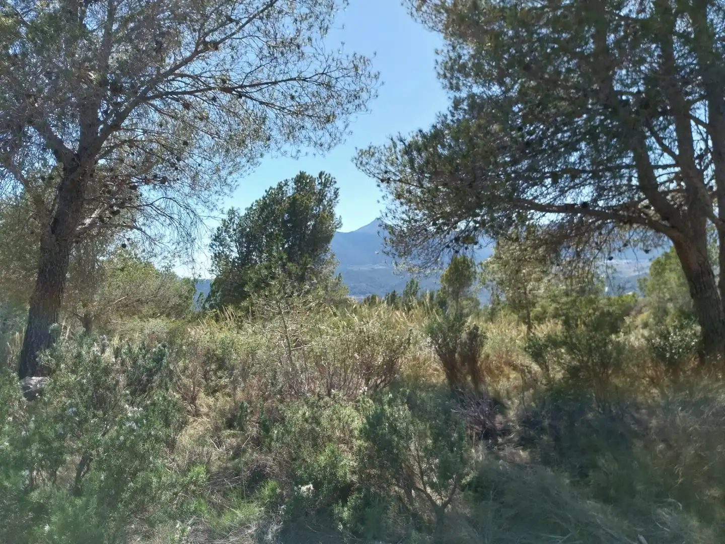 Terreno rustico in vendita a Lugar Castillo, imagen 20