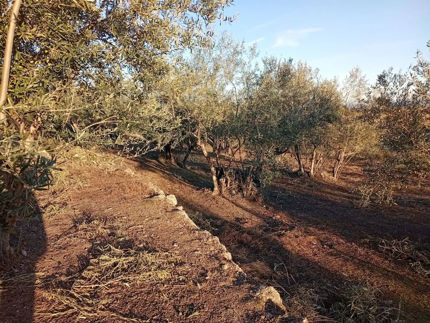 Terreni e lotti in vendita a Villanueva de la Vera, imagen 56