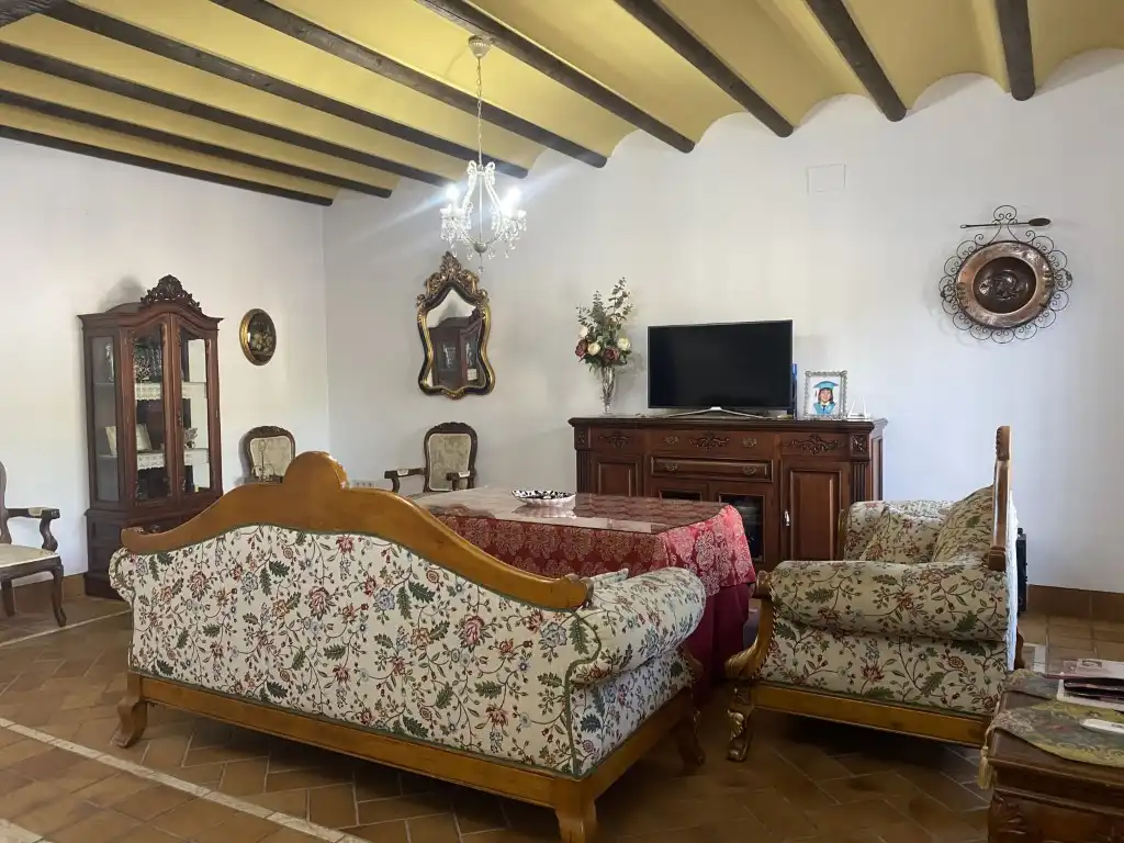 Sala de estar de Casa o chalet en venta en La Rambla con Terraza