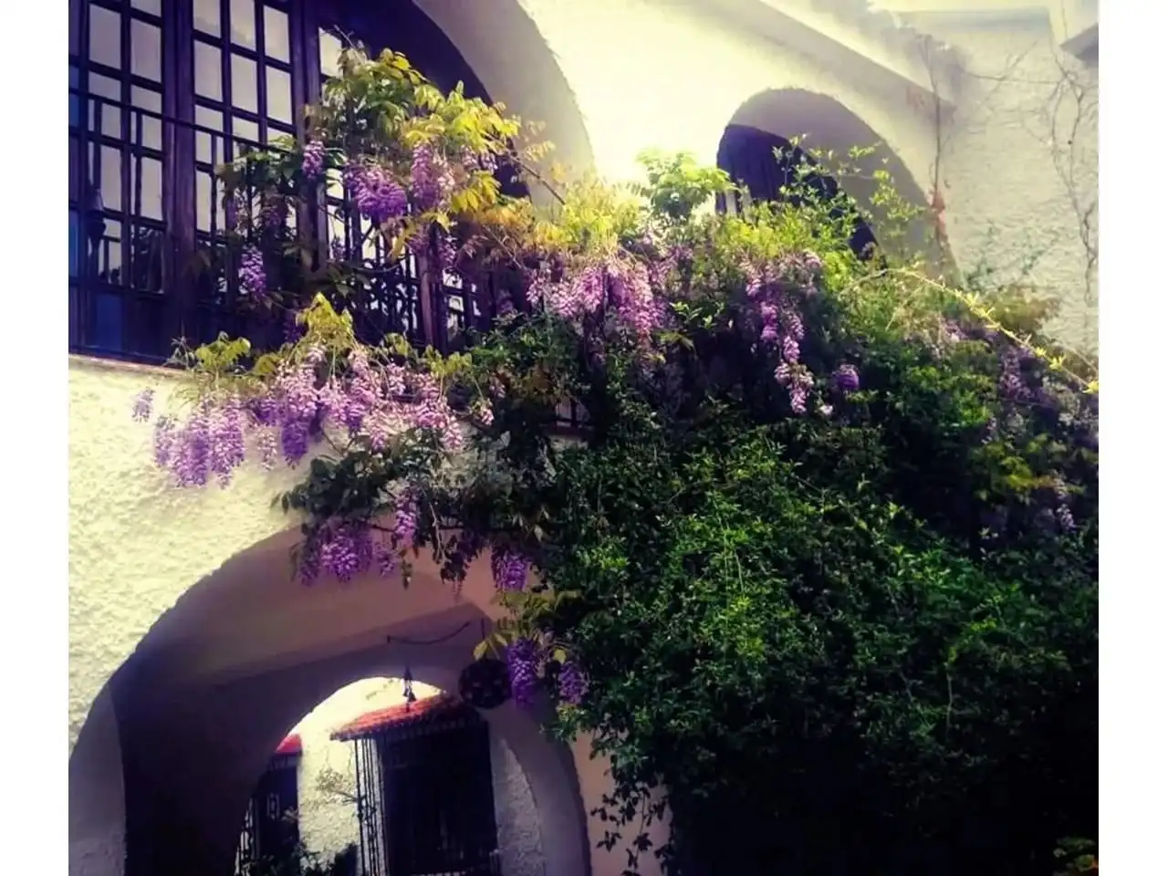 Casa con piscina in vendita a Loja, imagen 12