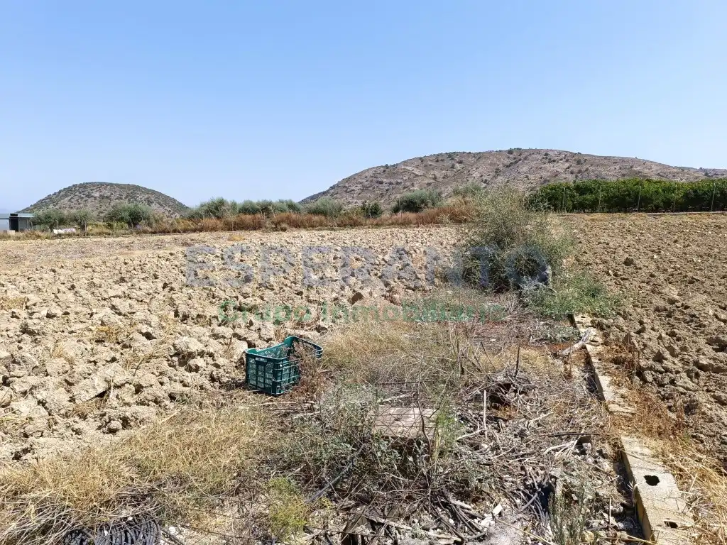Terreno rustico in vendita a Partida Ballestero, imagen 5