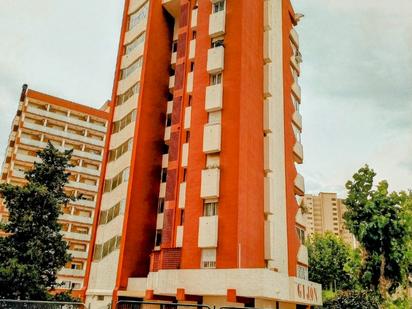 Vista exterior de Apartament en venda en Benidorm amb Aire condicionat i Piscina comunitària