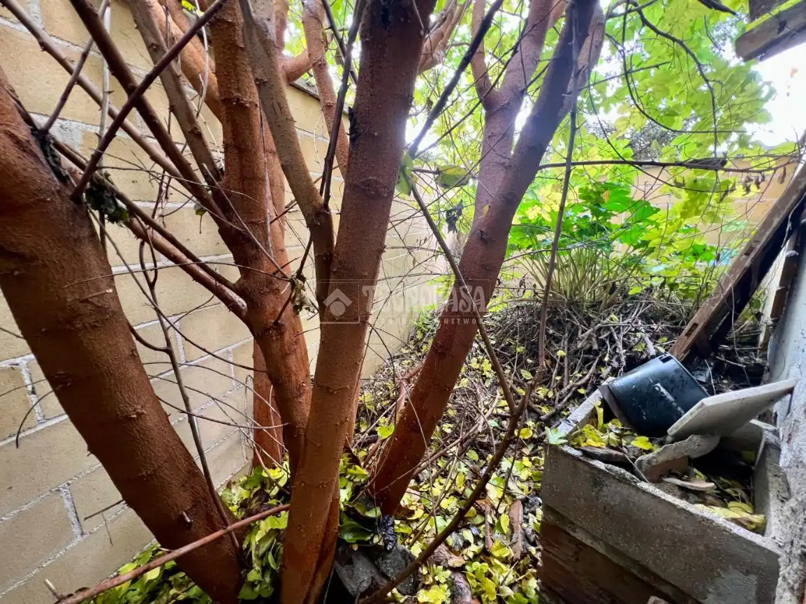 Finca rústica en venta en Ribatejada con Jardín privado