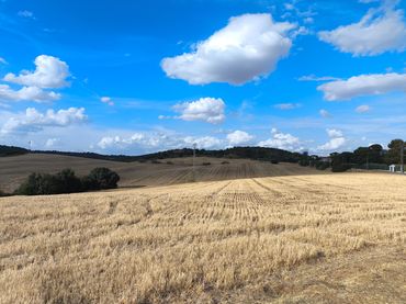 Wohnbaugrundstück zum Verkauf in Ribatejada