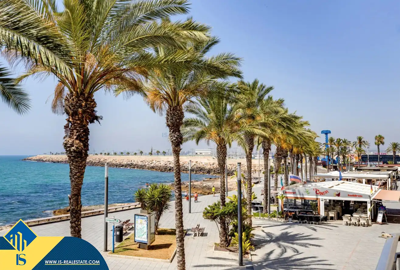 Estudio con terraza en venta en Playa de los Locos, imagen 18