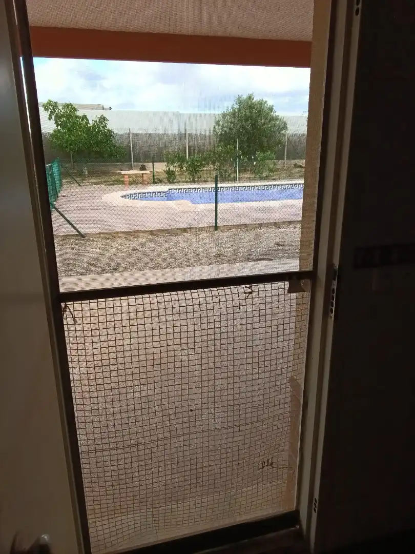 Swimming pool of Houses for sale in Fuente Álamo de Murcia  with Private garden, Terrace and Swimming Pool