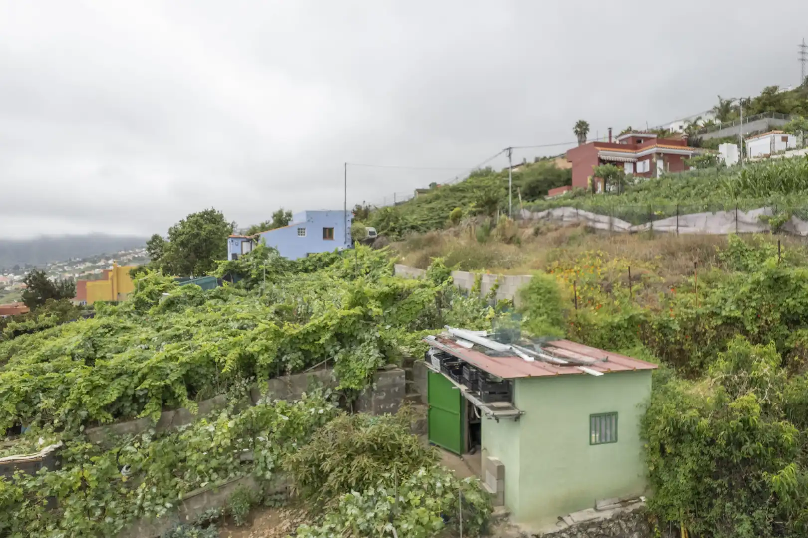 Vista exterior de Finca rústica en venta en La Orotava con Jardín privado, Terraza y Trastero