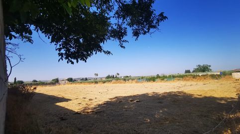 FINCA RUSTICA EN SANTA FE, immagine 3
