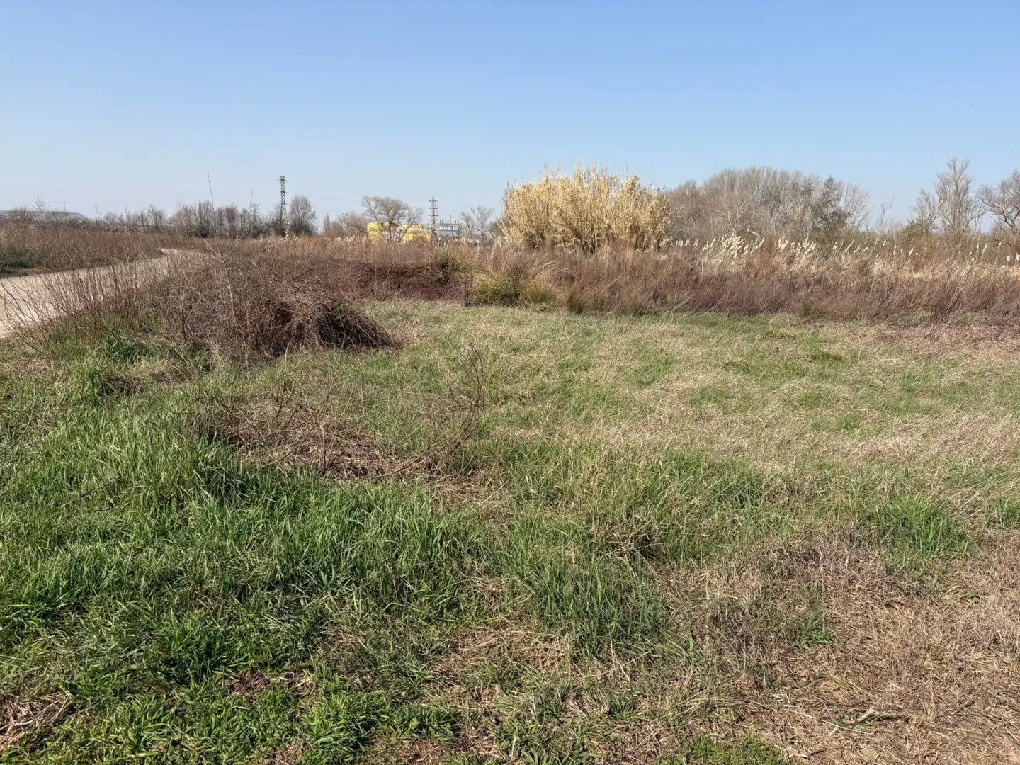 Rural land for sale in Agoncillo, imagen 2