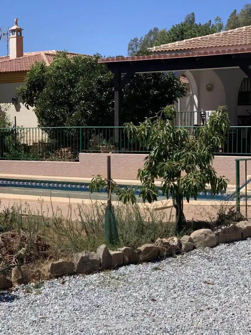 Schwimmbecken von Country house zur Miete in Alcaucín