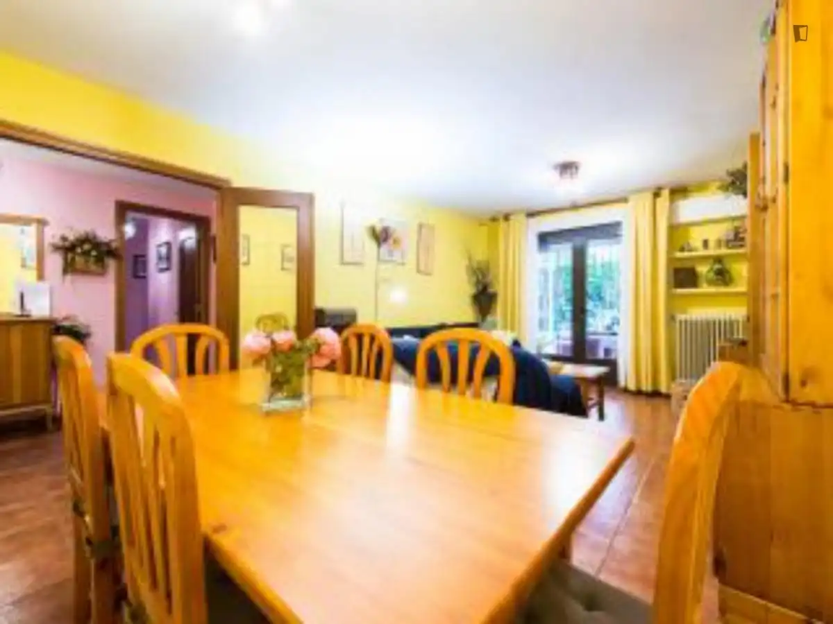 Dining room of Apartments for rent in Madrid  with Air Conditioner, Heating and Furnished